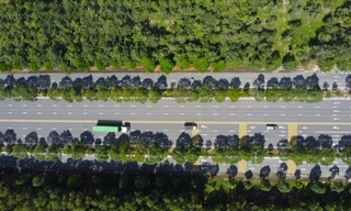 Ngỡ ngàng khu công nghiệp đẹp như một bức tranh 