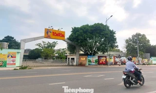 Vợ chồng chủ thương hiệu đậu phộng Tân Tân bị đề nghị truy tố 