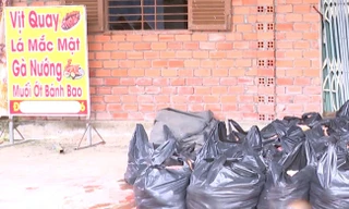 Phát hiện hơn 2 tấn vịt chết bốc mùi tại một cơ sở vịt quay ở TPHCM 