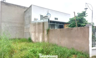 Tin mới nhất vụ xây nhà nhầm trên đất người khác ở TPHCM