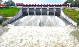 Hồ Dầu Tiếng xả lũ, triều cường trên báo động 2, đề phòng ngập úng