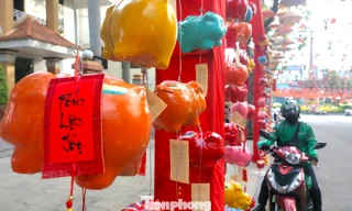 Check-in 'Đường heo đất', nhận lời chúc tốt lành Tết Bính Ngọ