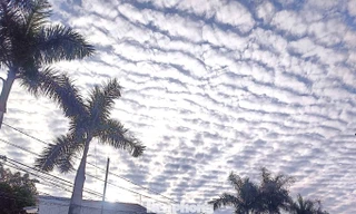 Giải mã hiện tượng ‘lưới mây’ bao phủ bầu trời TP.HCM