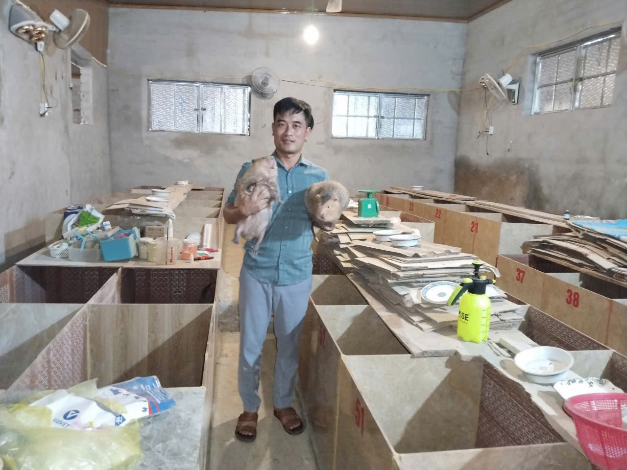 بوي فان تو في نموذج التنمية الاقتصادية للأسرة 4c4f3fb17977f029a966.jpg