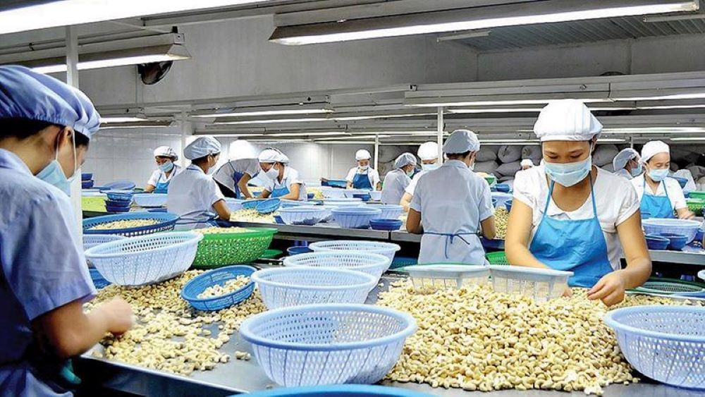 Động thái của doanh nghiệp Việt khi Mỹ chính thức áp thuế đối ứng- Ảnh 3. Động thái của doanh nghiệp Việt khi Mỹ chính thức áp thuế đối ứng- Ảnh 3.