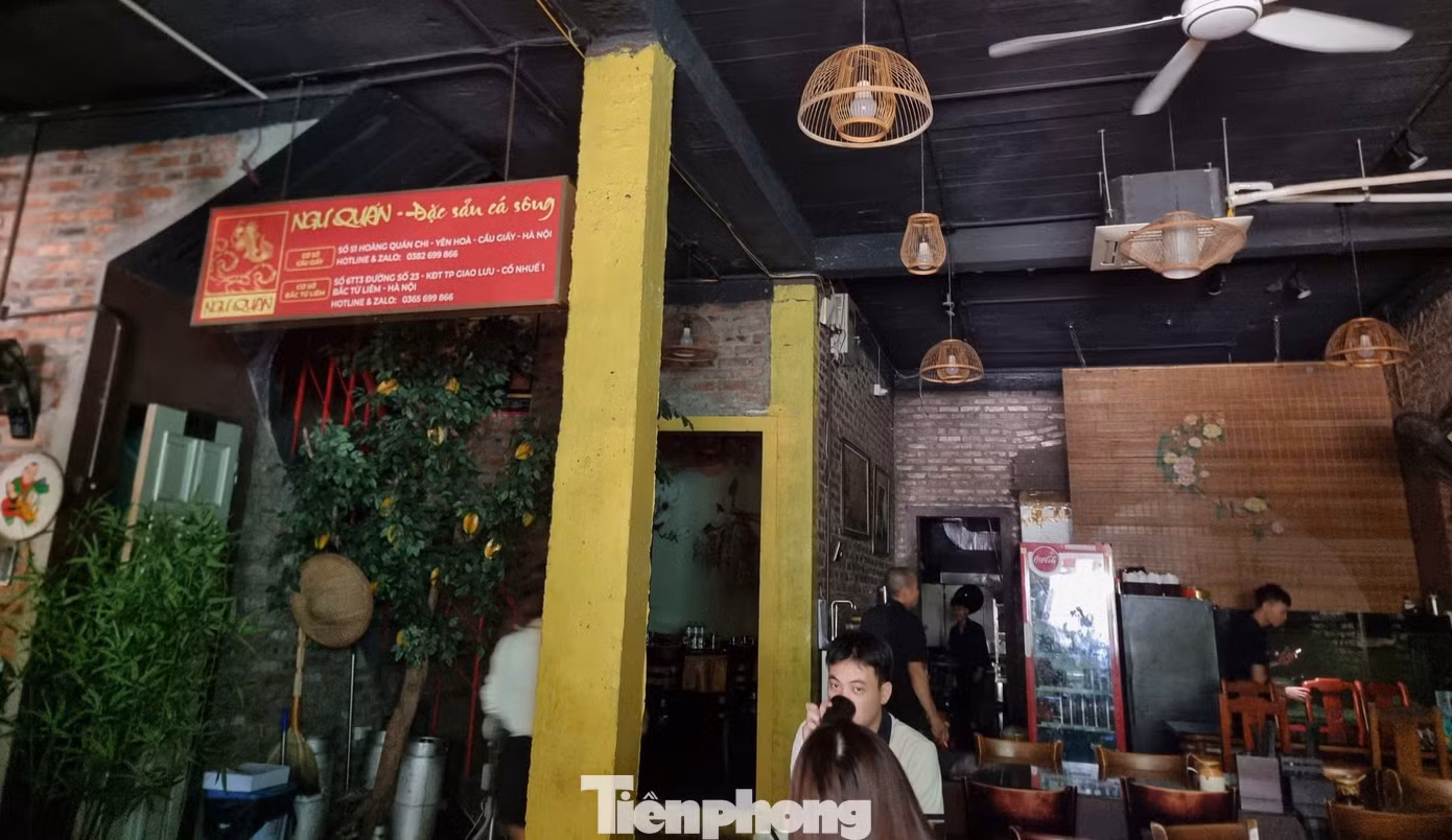 tp-mat-dien.jpg