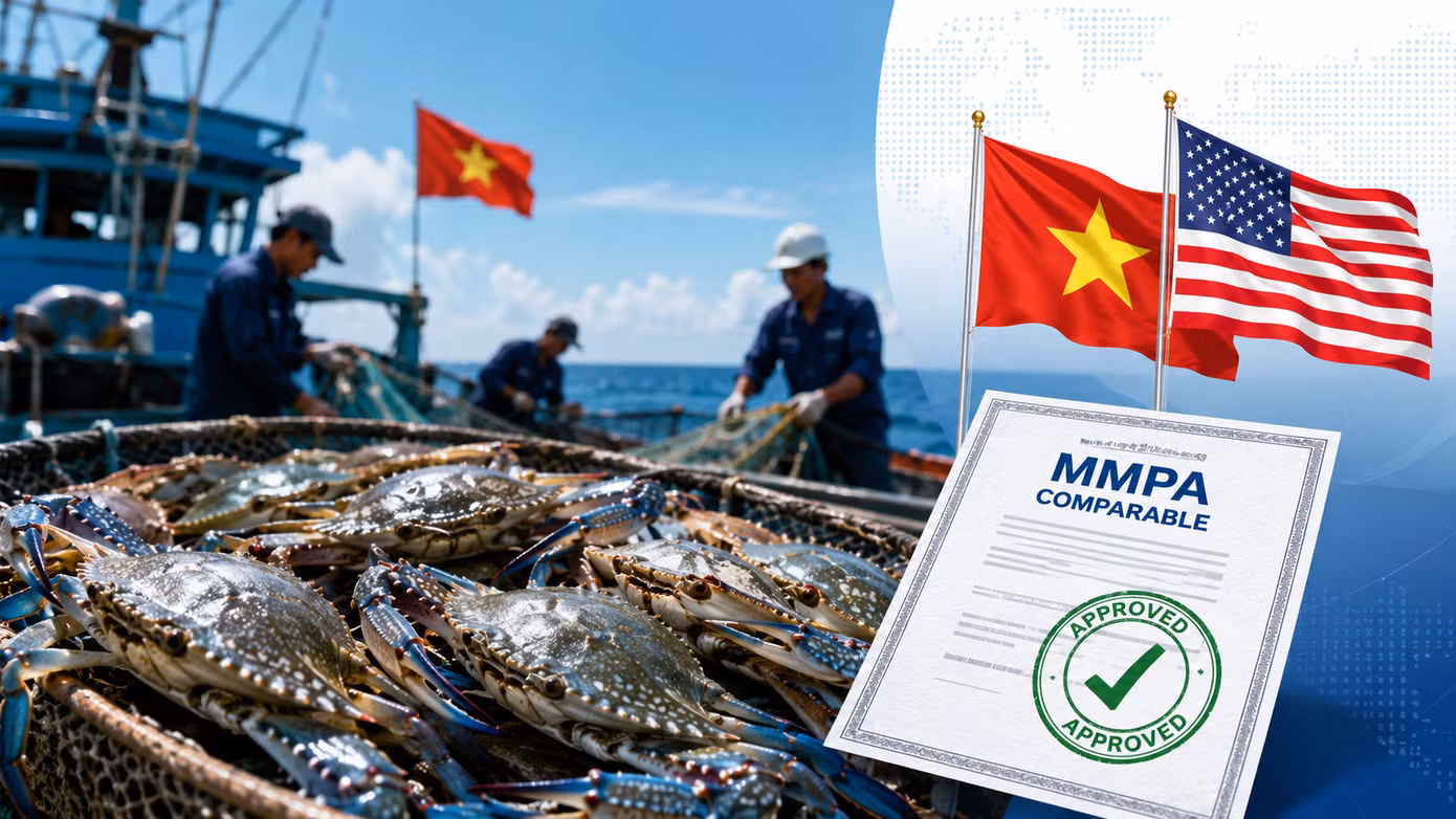 20260512122533835nghe-ghe-viet-nam-duoc-noaa-my-cong-nhan-tuong-duo-1598-1.png
