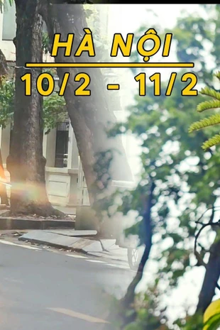 Hà Nội mưa rét, nhiệt thấp nhất 12 độ C