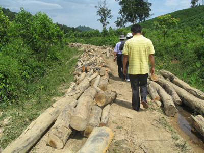 Vào sào huyệt lâm tặc
