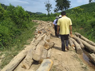 Vào sào huyệt lâm tặc