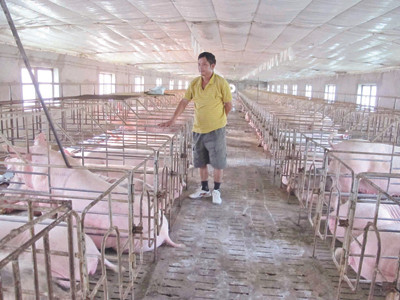 Người chăn nuôi đối mặt với lỗ