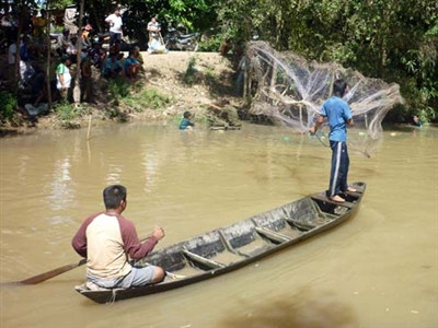 Cá lạ cắn người 'chỉ có thể là cá nóc mít'