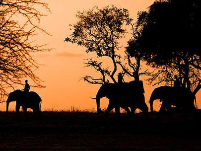 Bảo hiểm du lịch, có thể bạn chưa biết