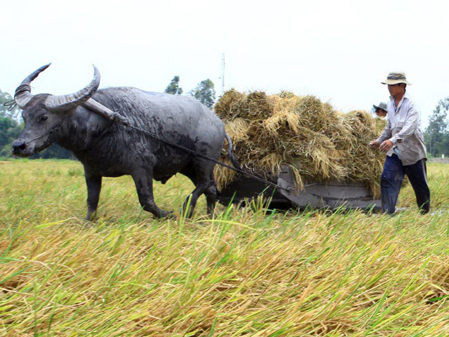 Èo uột cơ giới hóa nông nghiệp