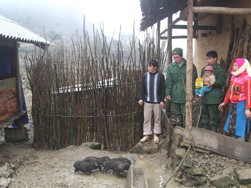 Nhiều gia đình thoát nghèo nhờ được Bộ đội BP đầu tư lợn giống. Ảnh: X.T