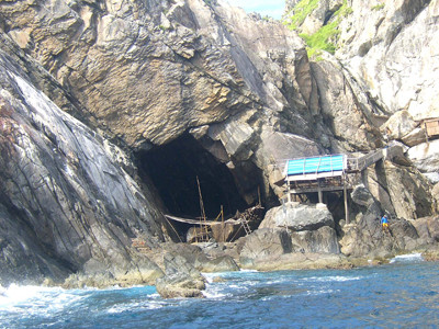 Hội An lo chống dịch H5N1 cho chim yến