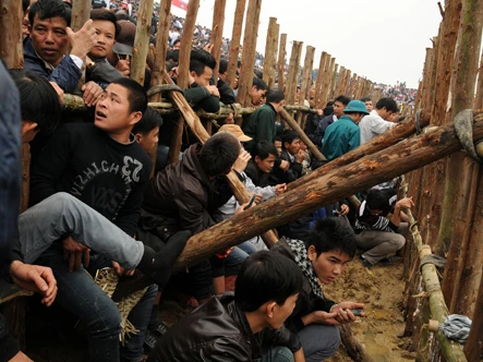 Nhặt sạn hội chọi trâu cổ nhất Việt Nam