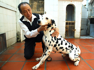 'Ta nhất định thắng thơ nhất định thua'