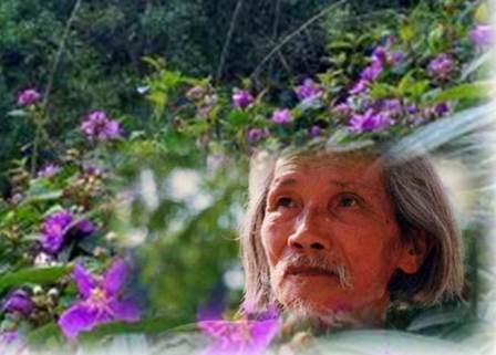 Ai làm nên Hữu Loan, Bùi Giáng ?