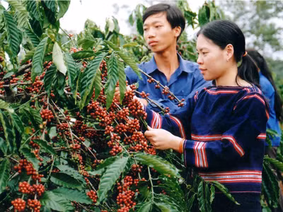 Đại hội Đoàn tỉnh Gia Lai và Kon Tum