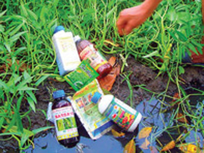 Dân ngộ độc và tử vong do nhiễm thuốc bảo vệ thực vật