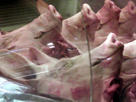 Trung Quốc phát hiện chất độc trong thuốc thú y