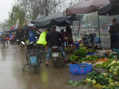 Sẽ dẹp chợ cóc tại cầu Lủ