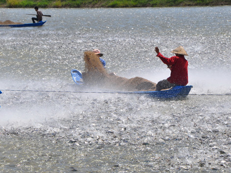 Cá tra mù mờ thông tin