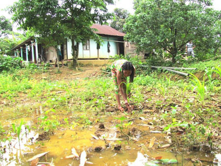 Lụt giữa mùa khô vì thủy điện tích nước