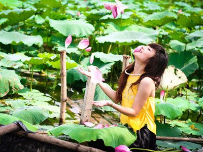 Bâng khuâng với sen Tây Hồ