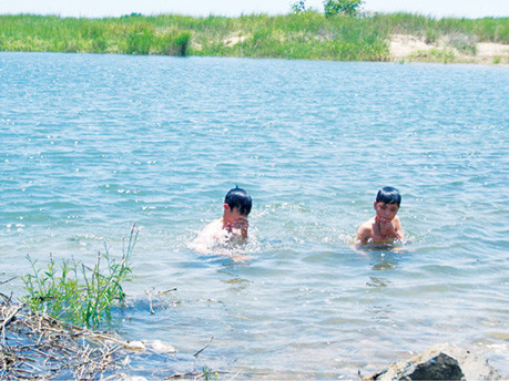 Người Việt phải biết bơi