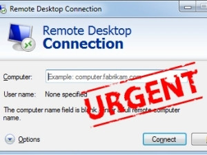32% máy chủ web .gov.vn có lỗ hổng nghiêm trọng