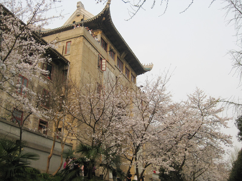 Đại học tổng hợp trọng điểm của Trung Quốc