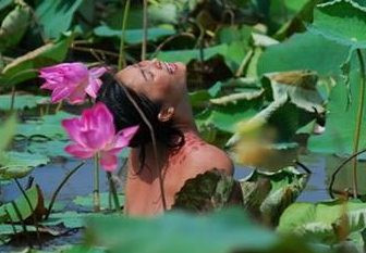 'Cánh đồng bất tận' nhìn từ hàng ghế khán giả