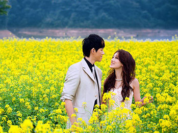 Tỏ tình mùa hoa cải