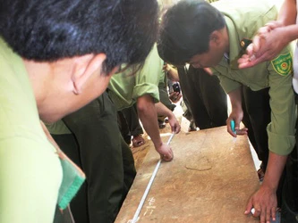 Thu giữ thêm bốn phách gỗ sưa