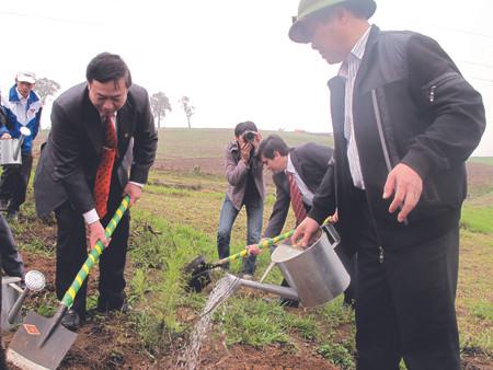 Mộc Châu nghiêng xanh