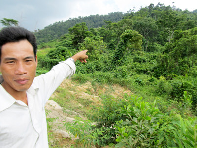 “Tôi ký chủ trương không có nghĩa cho họ phá rừng”