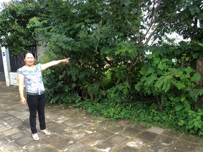 Quan hối lộ dân!?