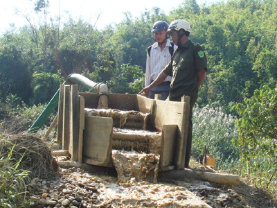'Vàng tặc' phá rừng từng ngày