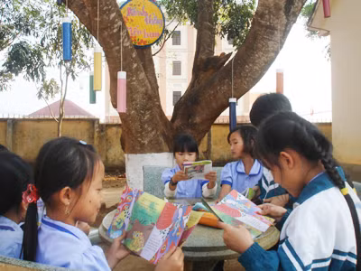 Thư viện dưới tán lá