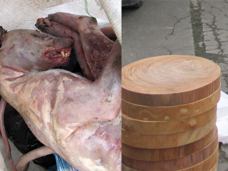 Cầy hương và thớt nghiến bị cơ quan chức năng phát hiện trên xe khách từ Hà Nội lên Lạng Sơn sáng 29-3