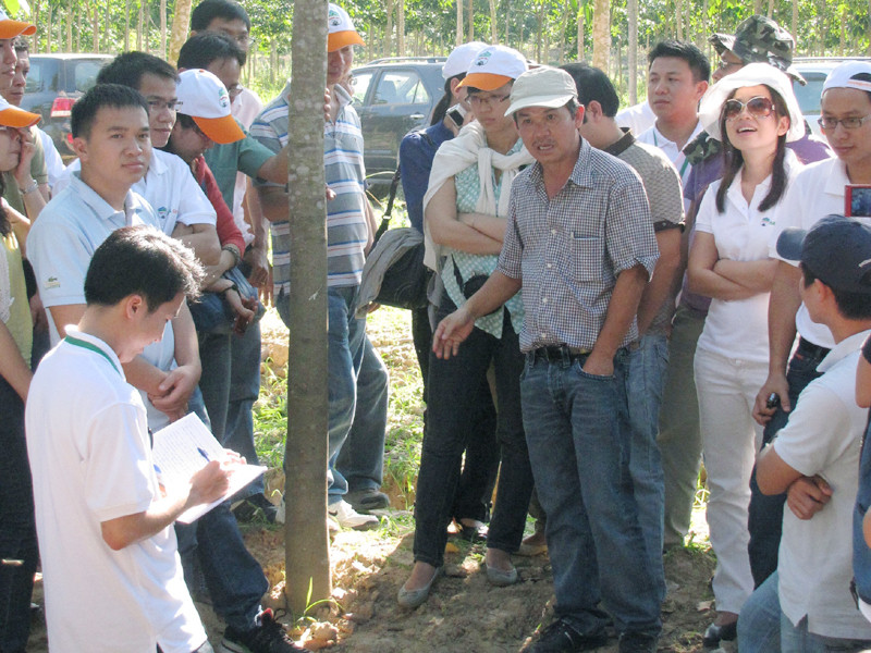 'Nhà đầu tư không tin đánh giá của Fitch'