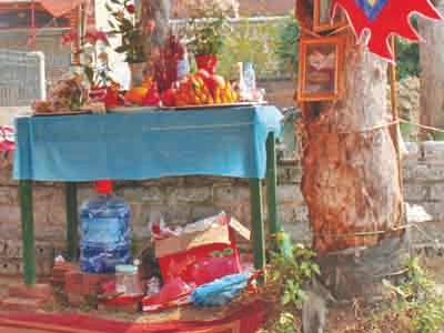 'Thần rắn' đã chết