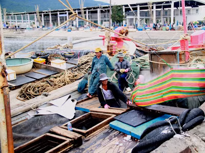 Ngư dân chìm nổi trước bão giá
