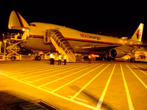 300 bò sữa 'bay' từ Úc về Việt Nam