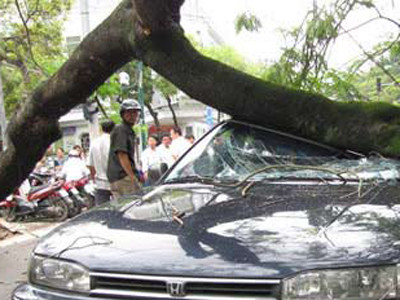 Đền bù tùy vào thiện chí