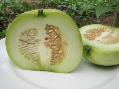 Dưa lê - Thực phẩm tốt cho mùa hè