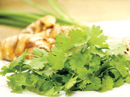 Chữa thủy đậu hiệu quả bằng rau mùi