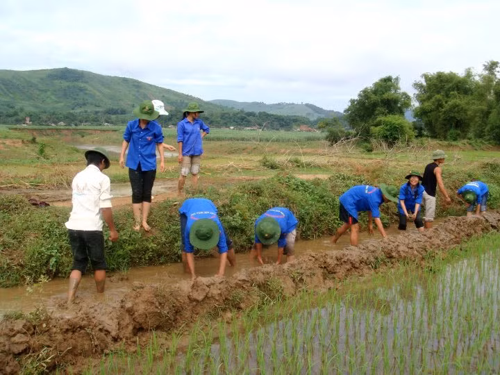 Kết quả tuần 17, câu hỏi tuần 18